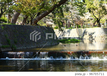 夙川公園 96705711