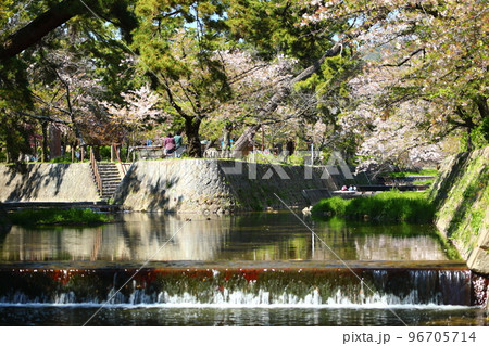 夙川公園 96705714