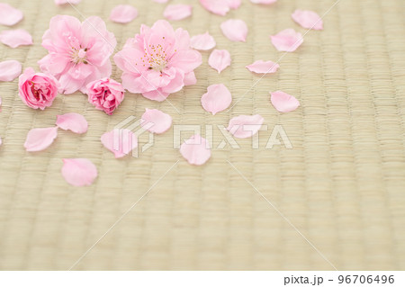 畳の上に散った桃の花びら 畳の上に散った桃の花びら 96706496