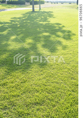 新緑の公園　木陰　エコイメージ 96706665