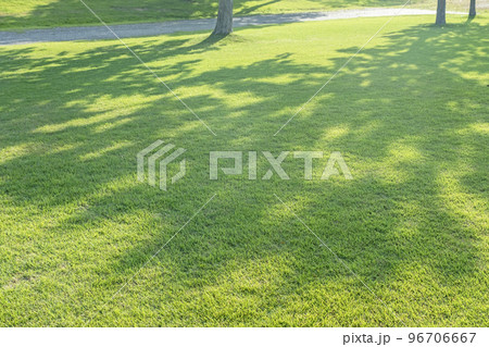 新緑の公園　木陰　エコイメージ 96706667