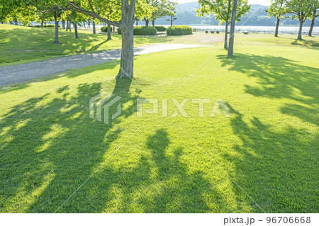新緑の公園 木陰 エコイメージ 新緑の公園 木陰 エコイメージ 96706668