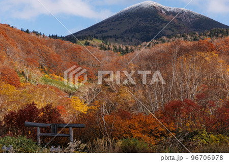 冠雪する八甲田大岳と紅葉（青森県） 96706978
