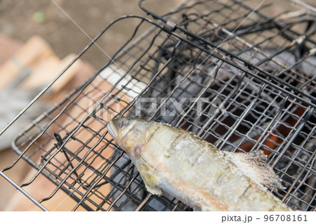 【オートキャンプ場で熾火を使って養殖鮎の塩焼き】 【オートキャンプ場で熾火を使って養殖鮎の塩焼き】 96708161