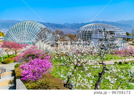山梨県 春の花咲く笛吹川フルーツ公園 96708173