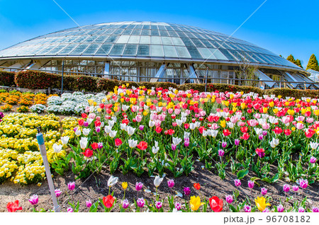 山梨県 春の花咲く笛吹川フルーツ公園 96708182