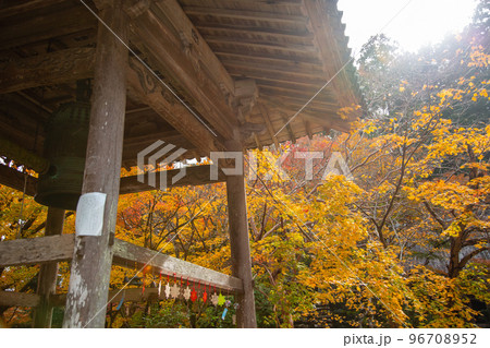 静岡県森町　紅葉の大洞院境内にて 96708952