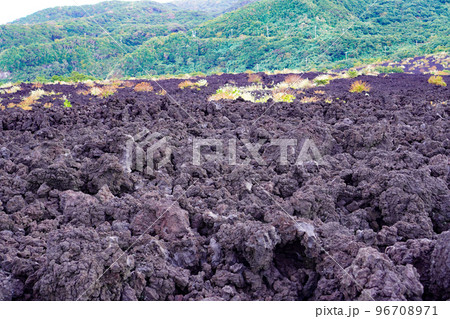 火山遊歩道の溶岩流（東京都三宅島）の写真素材 [96708971] - PIXTA