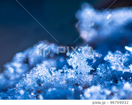 冬の朝にできた霜の結晶 冬の朝にできた霜の結晶 96709032