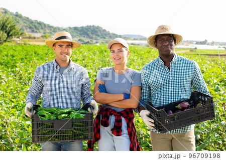 Happy farmers posing with harvest of bell peppers and eggplant on farmer field Happy farmers posing with harvest of bell peppers and eggplant on farmer field 96709198