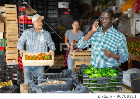 Owner of vegetable warehouse is talking on mobile phone while other workers are sorting vegetables Owner of vegetable warehouse is talking on mobile phone while other workers are sorting vegetables 96709311