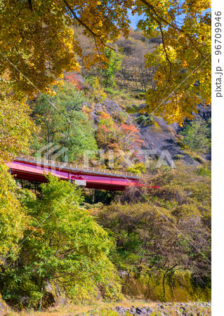 花の渡良瀬公園から国道122号バイパス方面 紅葉 秋の風景 花の渡良瀬公園から国道122号バイパス方面 紅葉 秋の風景 96709946