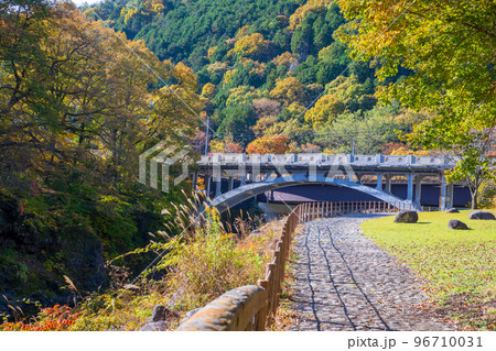 花の渡良瀬公園　渡良瀬橋　渡良瀬川　日光足尾　秋の風景　 96710031