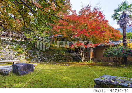栖賢寺 紅葉が綺麗な庭(京都市左京区上高野) 栖賢寺 紅葉が綺麗な庭(京都市左京区上高野) 96710430