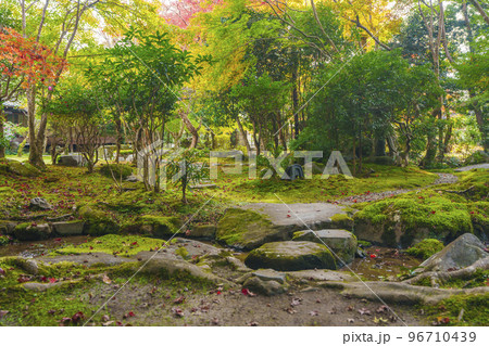 栖賢寺 紅葉が綺麗な庭(京都市左京区上高野) 栖賢寺 紅葉が綺麗な庭(京都市左京区上高野) 96710439