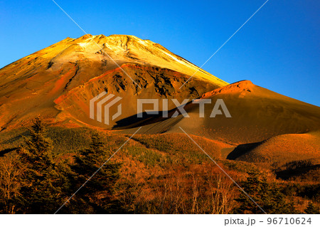 静岡県側からみた富士山の代表的イメージ　水ヶ塚公園　紅葉 96710624