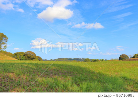 青空　雲　草原 96710993