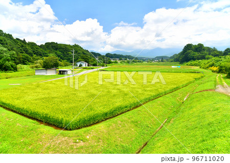 八ヶ岳／槻木大橋方面を望む(長野県茅野市)【2022.8】 96711020