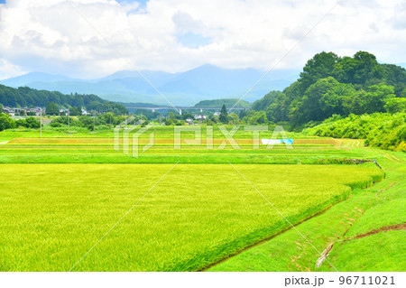 八ヶ岳／槻木大橋方面を望む(長野県茅野市)【2022.8】 96711021