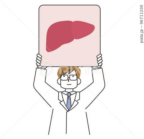 肝臓の描かれたパネルを掲げる医師 96711200