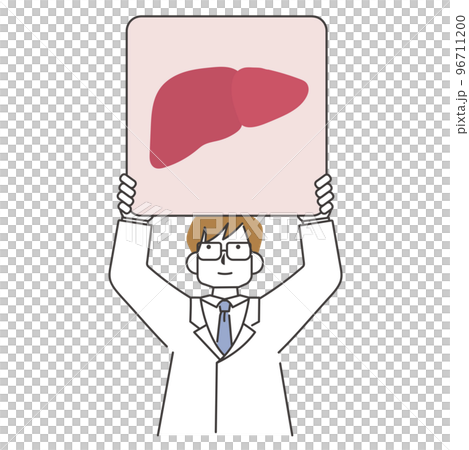 肝臓の描かれたパネルを掲げる医師 96711200
