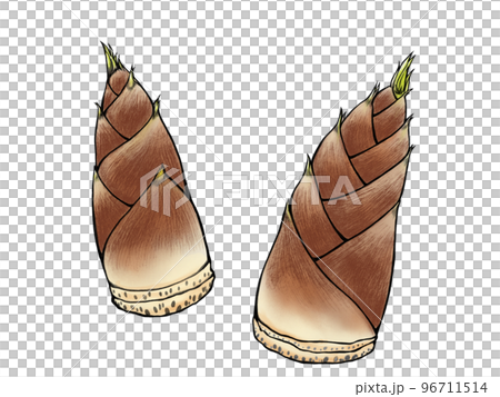 竹筍水彩插畫集(附主線) 竹筍水彩插畫集(附主線) 96711514