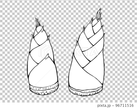Bamboo shoots simple line drawing illustration set 96711516