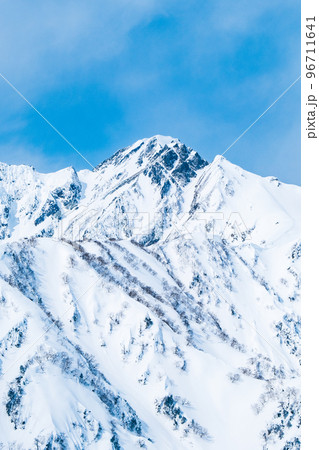 冬の遠見尾根トレッキング(五竜岳を望む) 冬の遠見尾根トレッキング(五竜岳を望む) 96711641