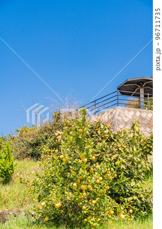 瀬戸内しまなみ海道、レモン谷休憩所 瀬戸内しまなみ海道、レモン谷休憩所 96711735