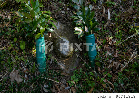 加茂当尾石仏の里　眠り仏 96711818