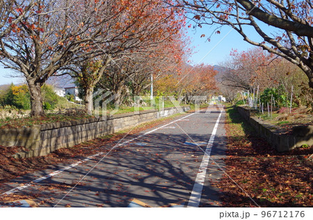 筑波鉄道　紫尾駅跡 96712176