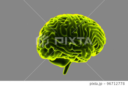 3d rendered human brain in cgreyr background 96712778