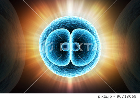 3d rendered Digital illustration Zygote Cell Division in color background 3d rendered Digital illustration Zygote Cell Division in color background 96713069