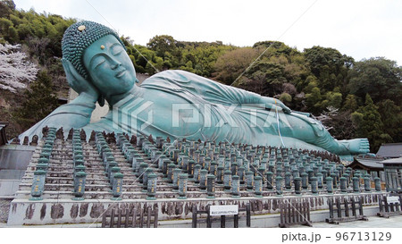 福岡の南蔵院の釈迦涅槃像 96713129