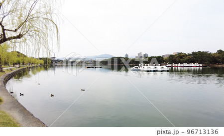 福岡の大濠公園 福岡の大濠公園 96713136
