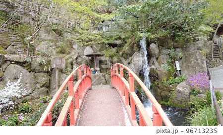福岡の南蔵院 福岡の南蔵院 96713235