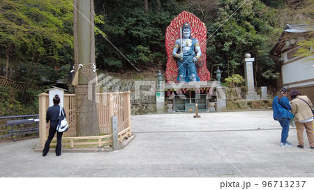 福岡の南蔵院 96713237