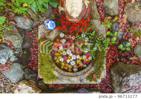 三明院　花手水　紅葉の季節（京都市左京区上高野） 96713277