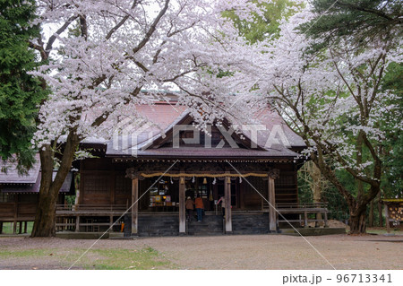 青森県平川市 猿賀神社の桜 青森県平川市 猿賀神社の桜 96713341