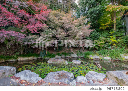 因幡国一宮　宇部神社　亀金池　鳥取県鳥取市国府町宮下 96713802