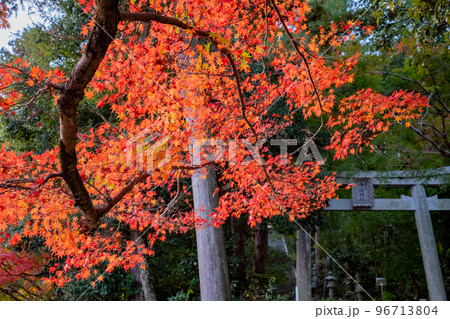 因幡国一宮 宇部神社の紅葉 鳥取県鳥取市国府町宮下 因幡国一宮 宇部神社の紅葉 鳥取県鳥取市国府町宮下 96713804