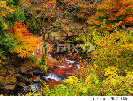 秋の深山峡(広島県山県郡安芸太田町加計) 秋の深山峡(広島県山県郡安芸太田町加計) 96713860