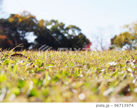 秋の公園の広場 秋の公園の広場 96713974