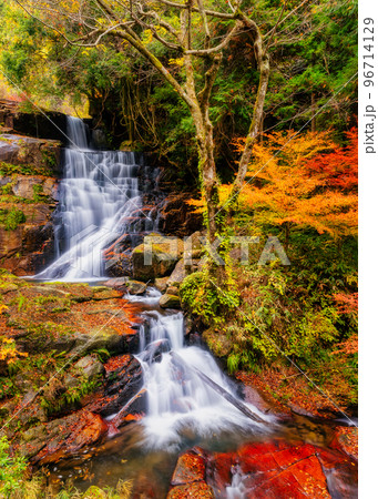 秋の深山峡(広島県山県郡安芸太田町加計) 秋の深山峡(広島県山県郡安芸太田町加計) 96714129