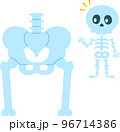 骨盤と股関節の図と骸骨のキャラクター 96714386