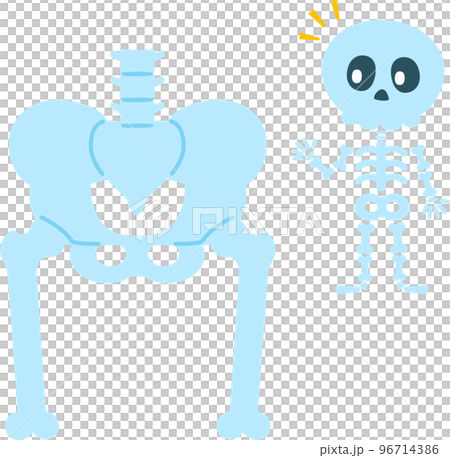骨盤と股関節の図と骸骨のキャラクター 96714386