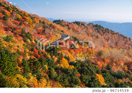 《福島県》天狗の庭の紅葉・磐梯吾妻スカイライン《紅葉最盛期》 96714539