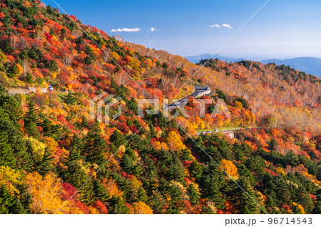 《福島県》天狗の庭の紅葉・磐梯吾妻スカイライン《紅葉最盛期》 96714543