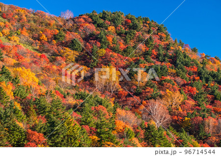 《福島県》天狗の庭の紅葉・磐梯吾妻スカイライン《紅葉最盛期》 96714544