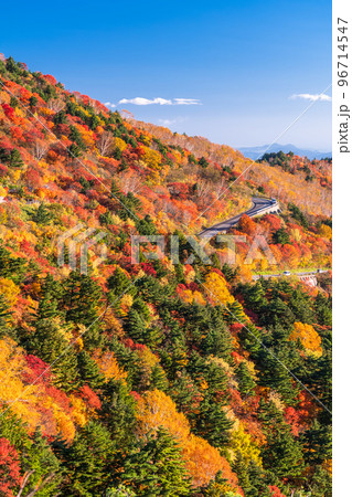 《福島県》天狗の庭の紅葉・磐梯吾妻スカイライン《紅葉最盛期》 96714547
